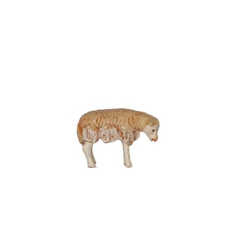 Borrego 10cm 03