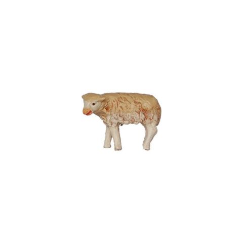 Borrego 10cm 04