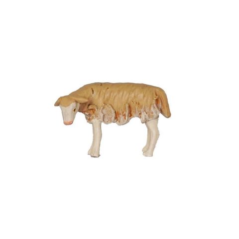 Borrego 12cm 01