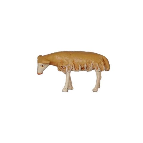 Borrego 12cm 02