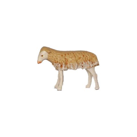 Borrego 12cm 03