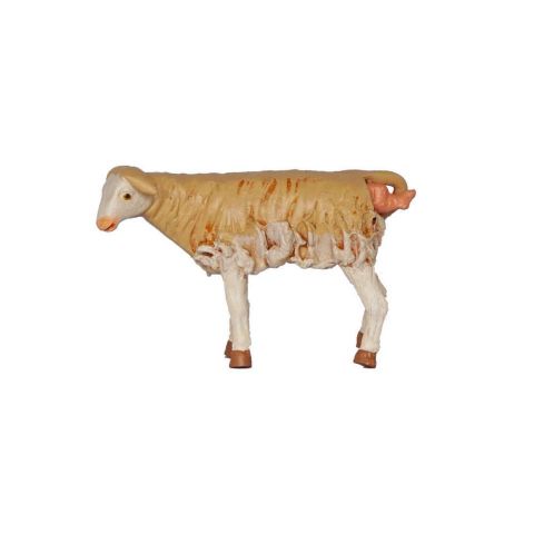 Borrego 14cm 01