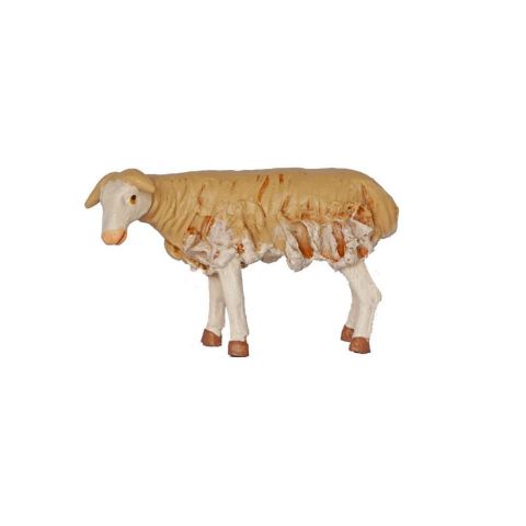 Borrego 14cm 02
