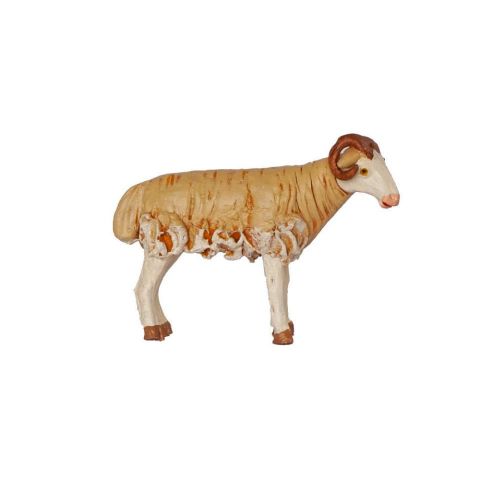 Borrego 14cm 03