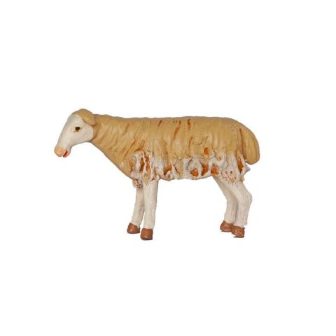 Borrego 14cm 04