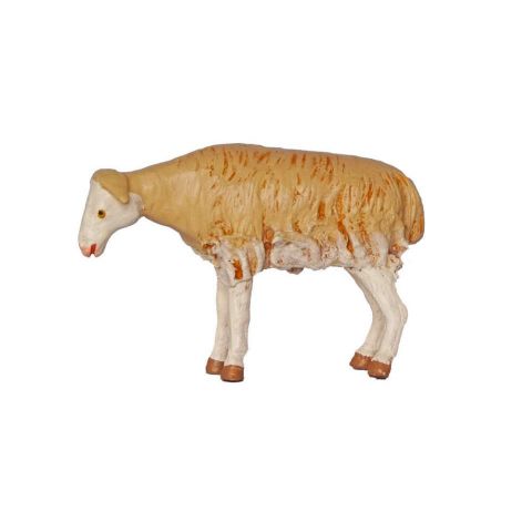 Borrego 17cm 01
